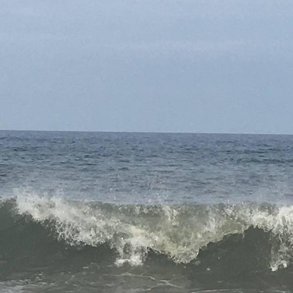 Meet your Posher, Ij - Picture 1 of 1